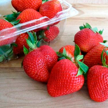Клубника ремонтантная "Кабрилло" Fragaria ananassa "Cabrillo"