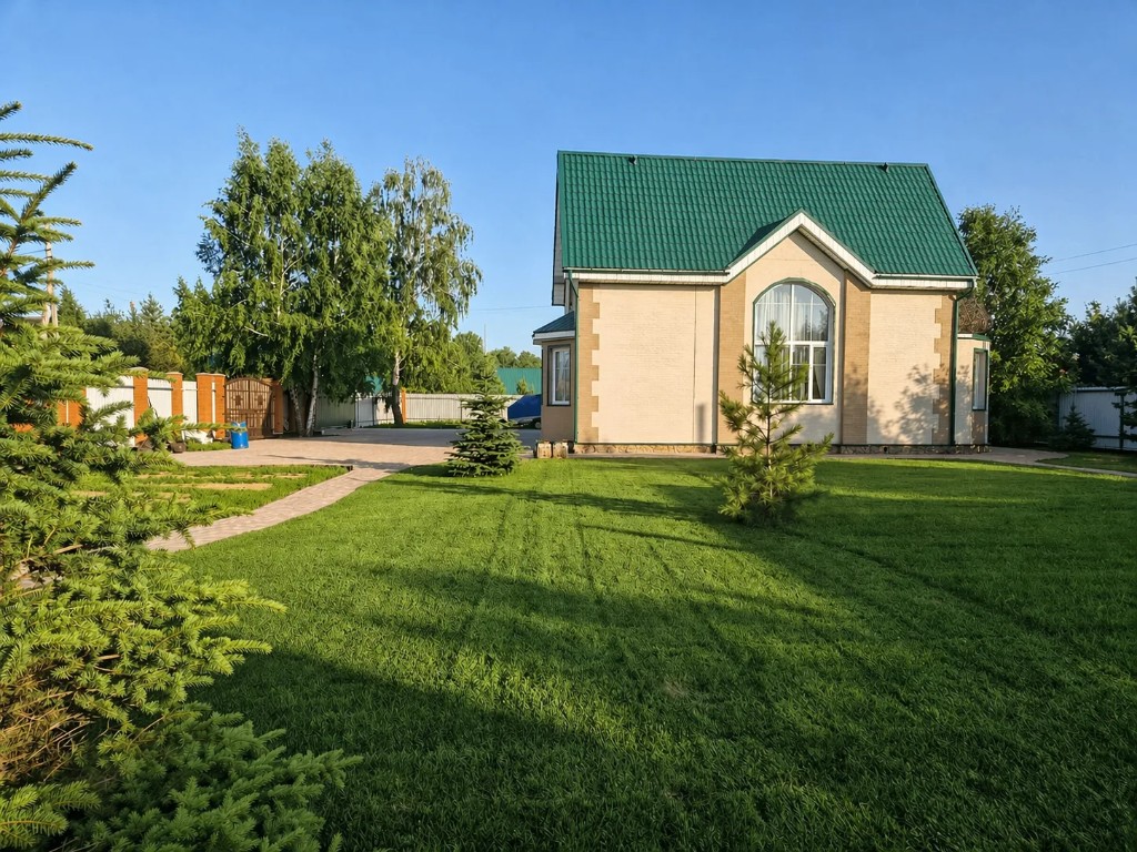 Рулонный газон и молодые хвойные деревья на участке у дома