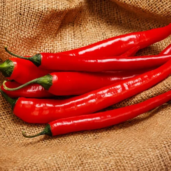 Перец острый "Астраханский" Capsicum annuum "Astrakhanskiy"