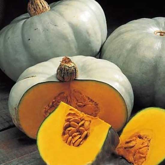 Тыква "Крошечка-Хаврошечка" Cucurbita maxima "Kroshechka-Khavroshechka"