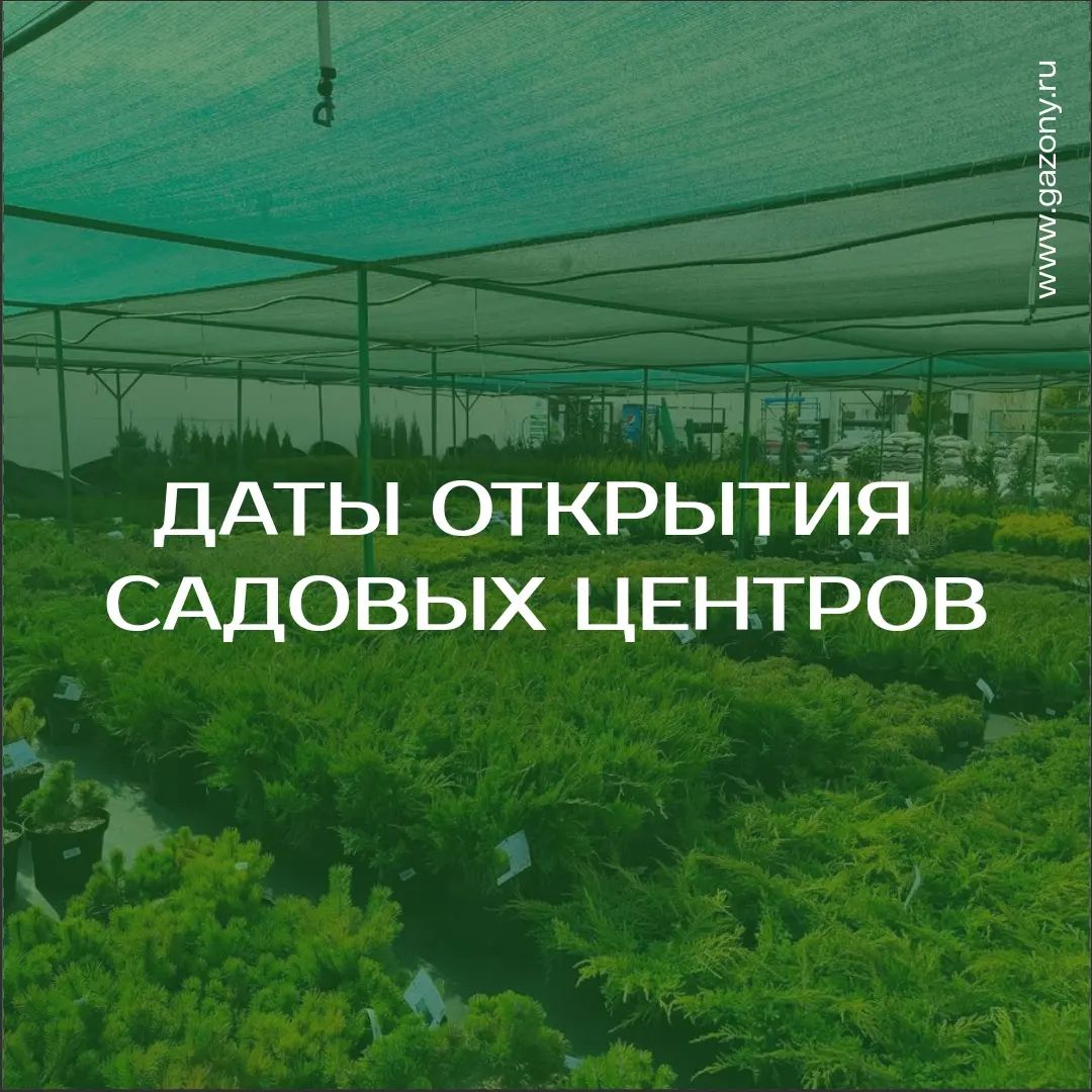 Наши садовые центры ОТКРОЮТСЯ уже 28 АПРЕЛЯ!!! | Новосибирск питомник
