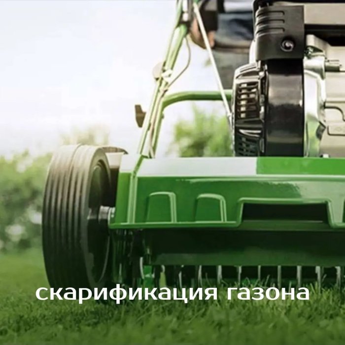 Скарификация газона | питомник саженцов