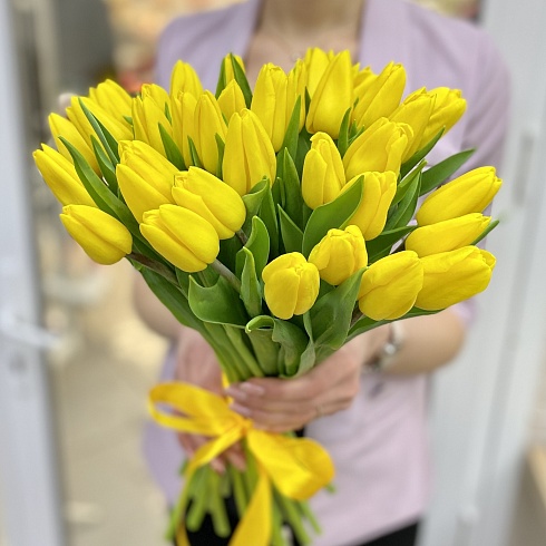 tulip-yellow-1400x1400
